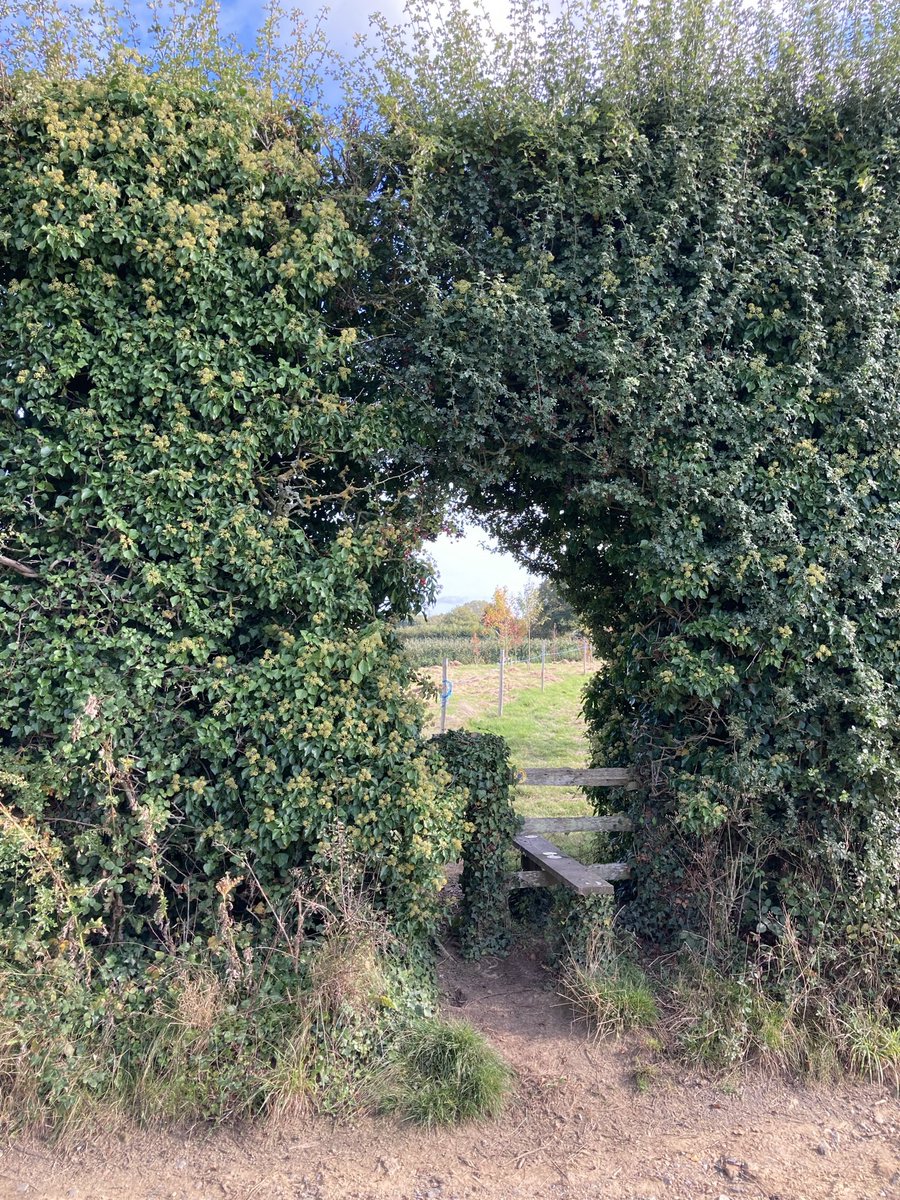 LakesStiles's tweet image. It's Round 1, Group 20 and these are a varied range for #StileCup2024

@dbrereton  Birtle steeplechase 
@rorypercival Glen Tilt 
@purekent High Weald