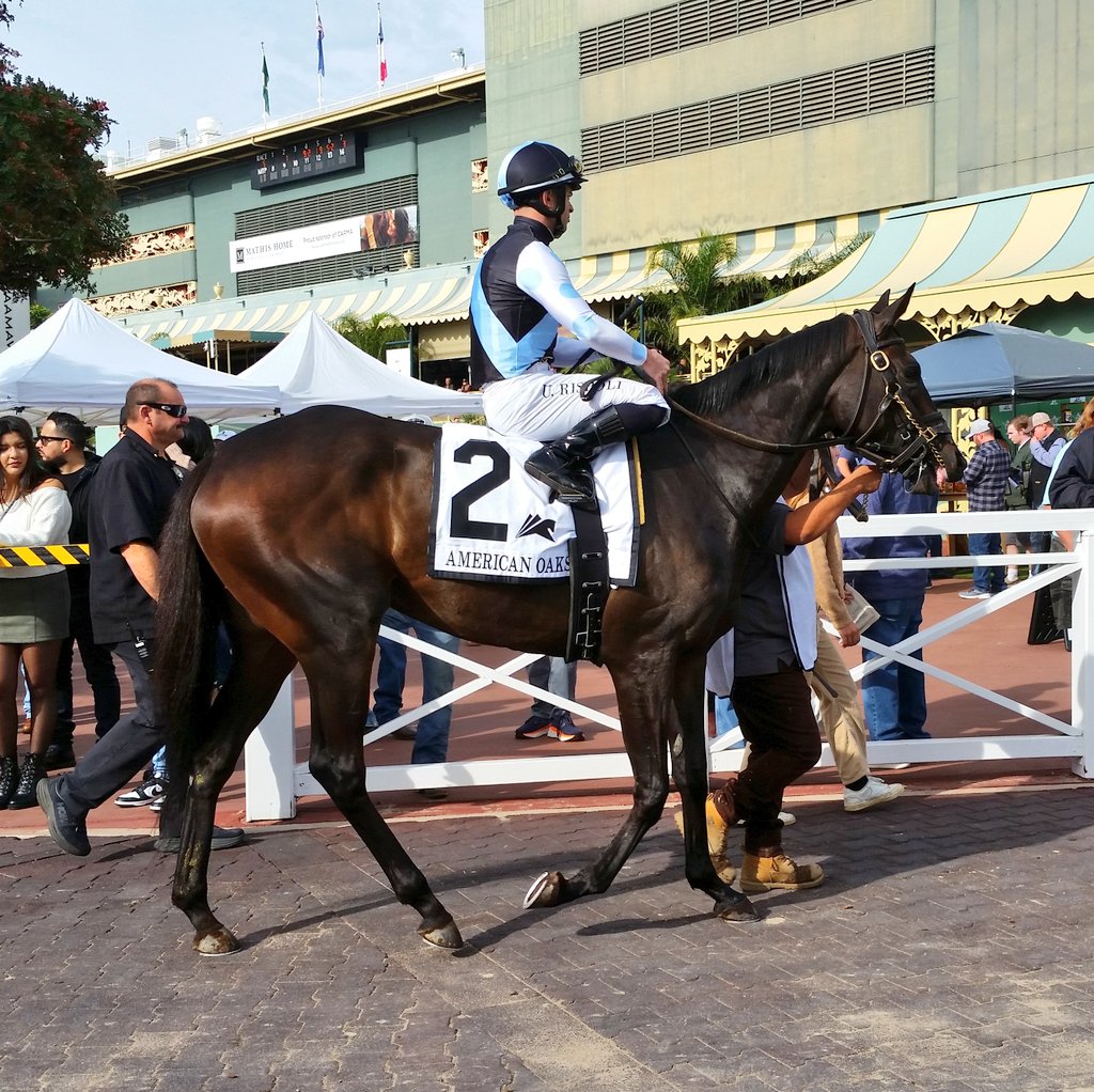 JPrusia's tweet photo. Anisette (GB) and jockey Umberto Rispoli win the 2023 Grade I American Oaks.
.
.
#SantaAnita #SantaAnitaPark #TheGreatRacePlace #ArcadiaCalifornia #HorseRacing #Thoroughbreds #ClassicMeet #GradeI #AmericanOaks #Anisette #UmbertoRispoli #LeonardPowell #EclipseThoroughbredPartners https://t.co/w25pWJxsEm