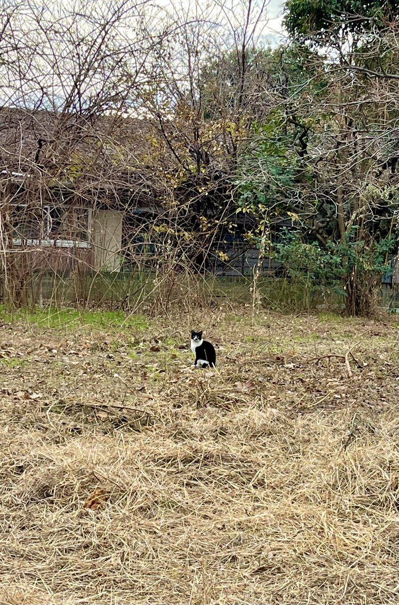 moderatescene's tweet photo. 2023年12月27日
川崎は晴れ☀️暖かい

お久しぶりでございます(´ω`)
中々こちらへ来られずですが、
よろしくお願いします〜

大人になって野良猫や野良犬を見なくなりました。
子どもの時はよく見かけたんですが。

#企業公式が地元の天気を言い合う
#企業公式冬のフォロー祭
#こっそり拾って怒られる https://t.co/HHrVDoqj80