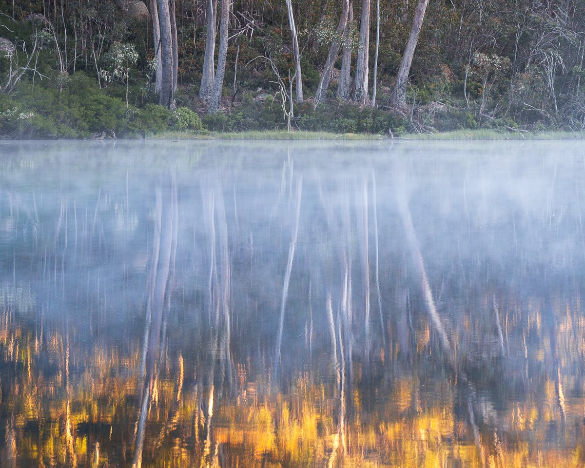 agalitch's tweet photo. Early morning at Lake Catani, Mt Buffalo NP.
A beautiful weekend getaway to enjoy the nature of #parksvictoria 

#ausgeo #sonyalpha #sonyalphaanz #natgeo #natgeoau #natgeoaustralia #yourshotphotographer #naturephotography #landscapephotography https://t.co/Eptbv0hPMA