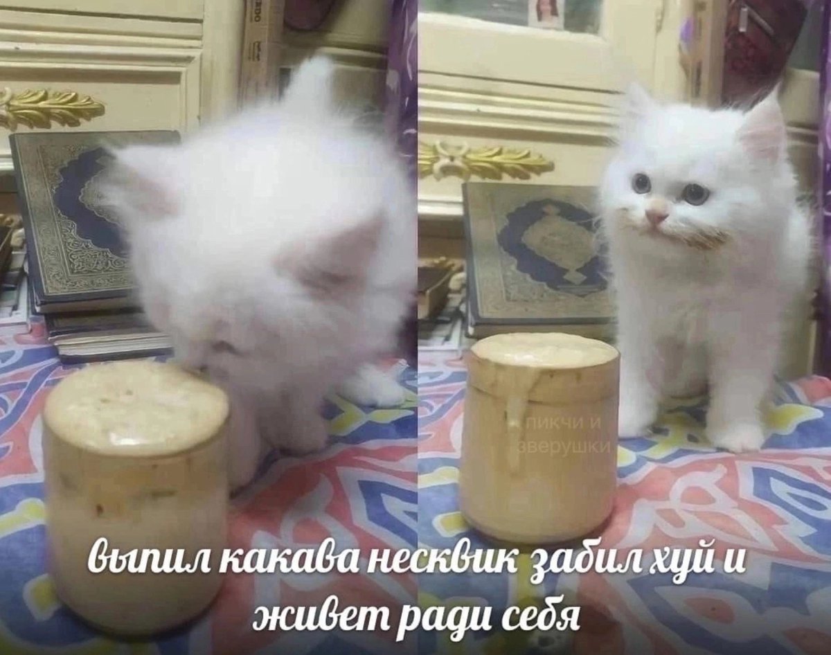 jerquejerk's tweet image. Итоги года, но скидываем только мемы