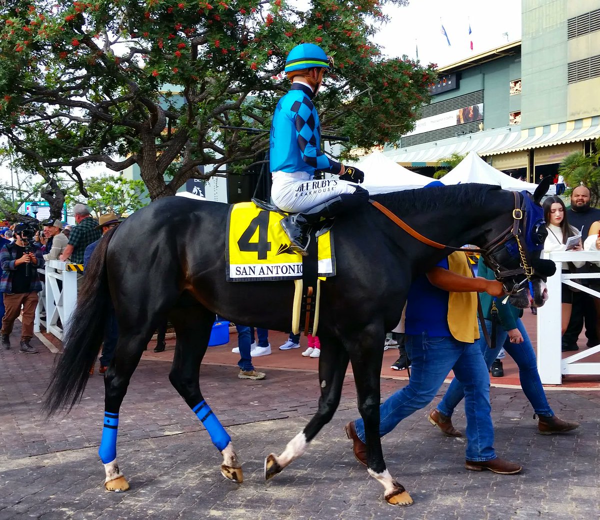 JPrusia's tweet photo. Grade II winners from Opening Day at Santa Anita Park.

San Gabriel Stakes: Easter (FR) and jockey Antonio Fresu

San Antonio Stakes: Newgrange and jockey  Irad Ortiz, Jr.

Mathis Mile: Watsonville and jockey Antonio Fresu

#SantaAnita #SantaAnitaPark #TheGreatRacePlace https://t.co/lLFpIdpMf3