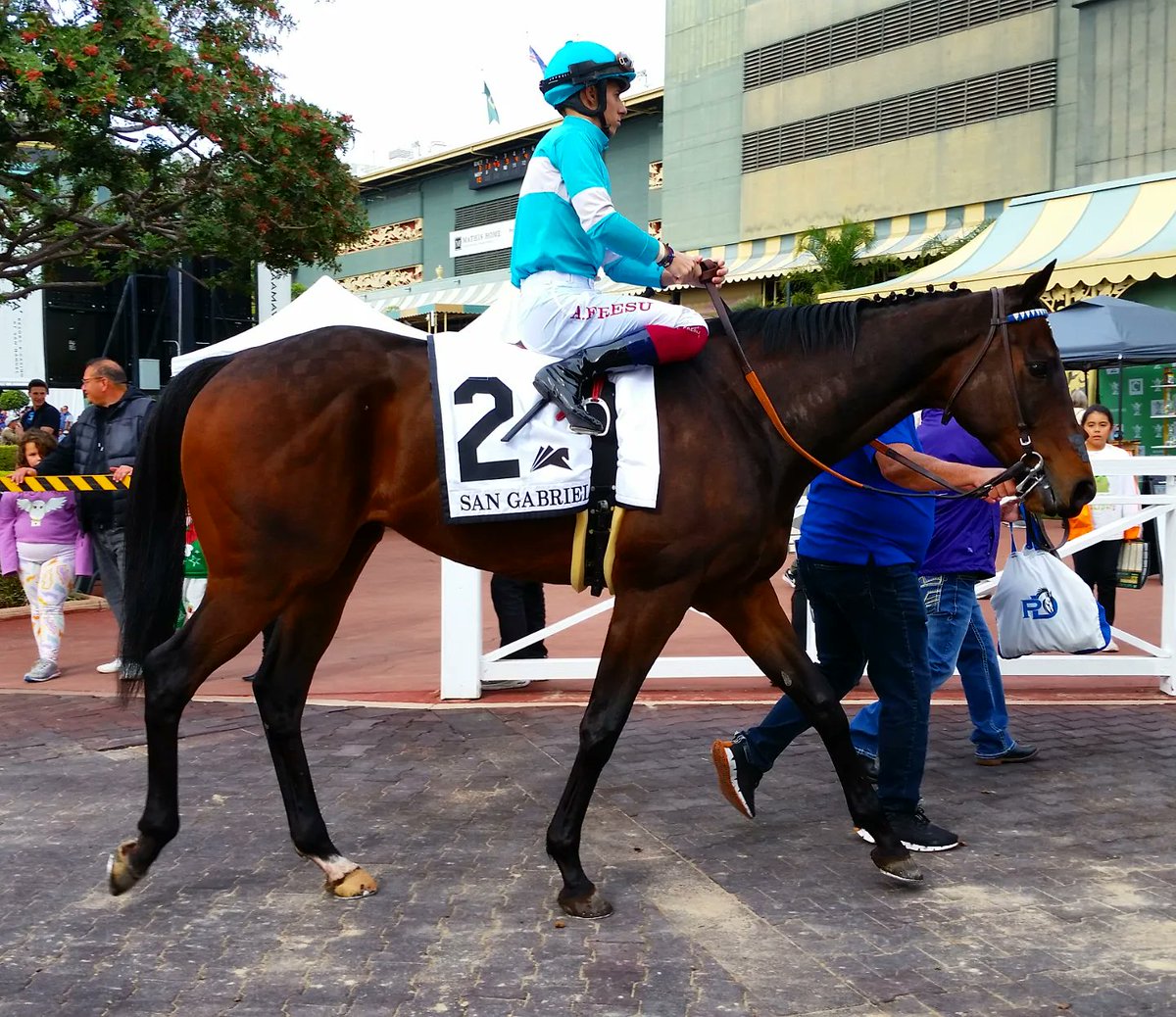 JPrusia's tweet photo. Grade II winners from Opening Day at Santa Anita Park.

San Gabriel Stakes: Easter (FR) and jockey Antonio Fresu

San Antonio Stakes: Newgrange and jockey  Irad Ortiz, Jr.

Mathis Mile: Watsonville and jockey Antonio Fresu

#SantaAnita #SantaAnitaPark #TheGreatRacePlace https://t.co/lLFpIdpMf3