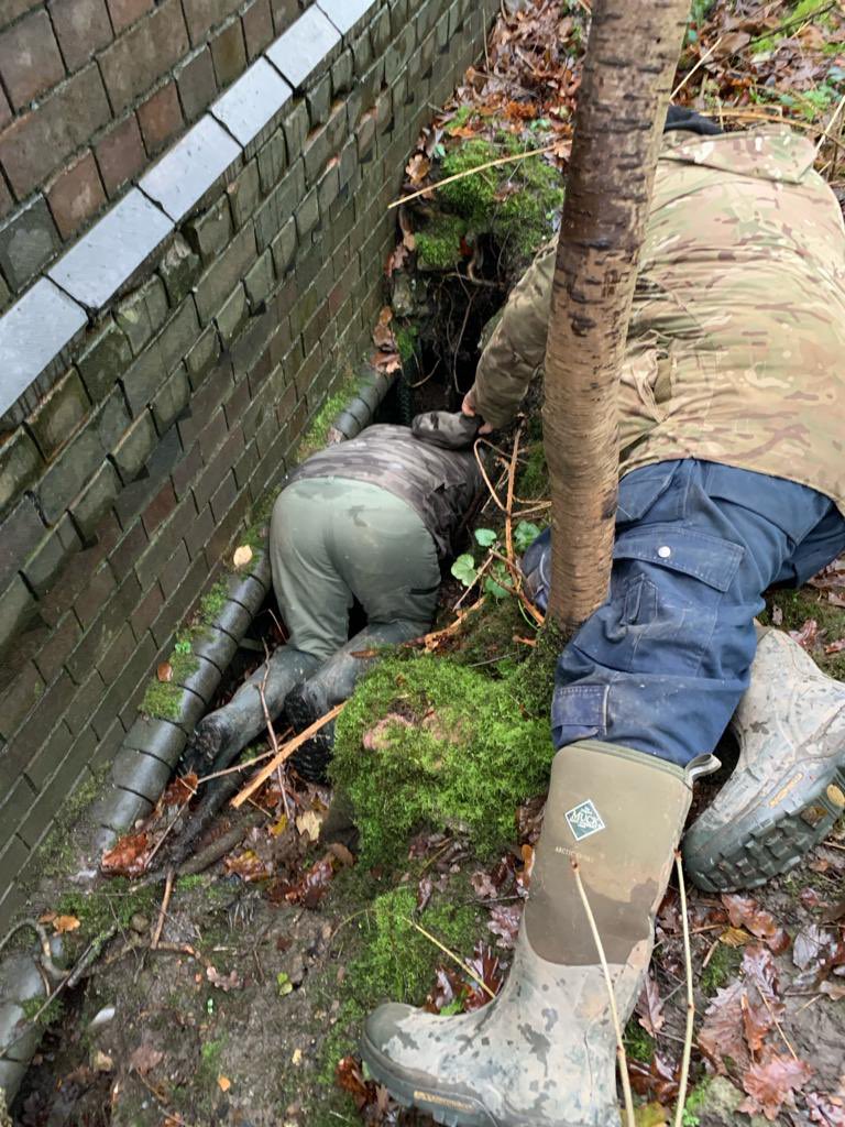 Members still been out over Christmas 🎅 picking up RTA’s and sadly finding a dug badger sett 🥲 To report badger incidents call 07508813411🦡