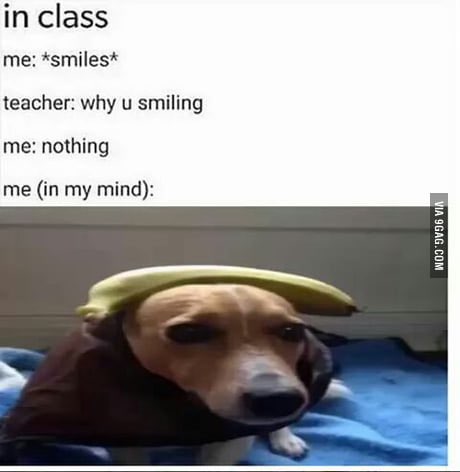 nanadogsol's tweet photo. 🍌🐕
$nana https://t.co/MFU62B5vX7
