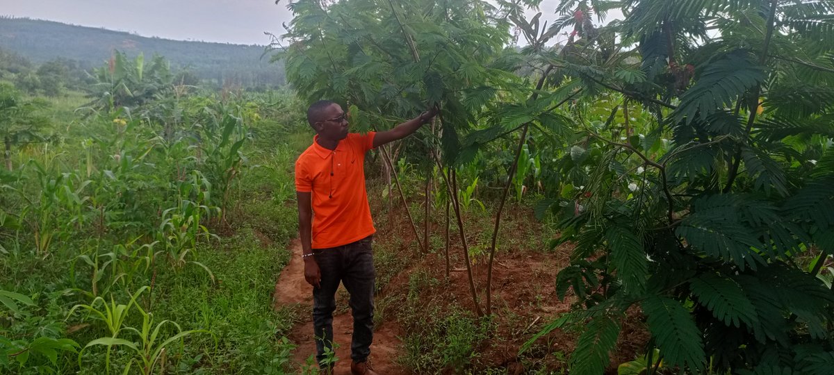 @Forester 🌲 tweet media