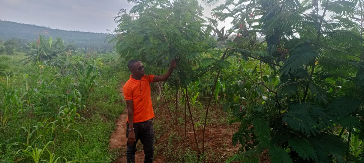 @Forester 🌲 tweet media