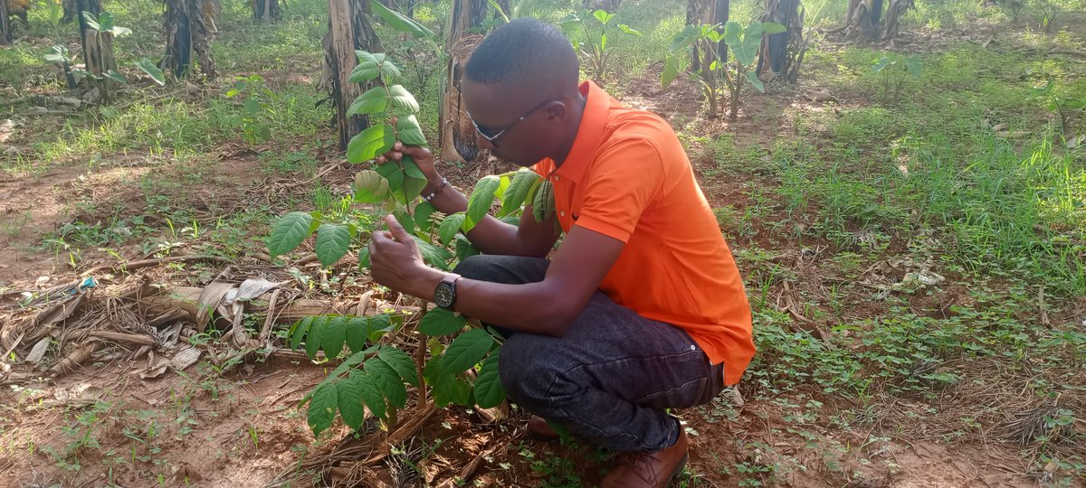 @Forester 🌲 tweet media