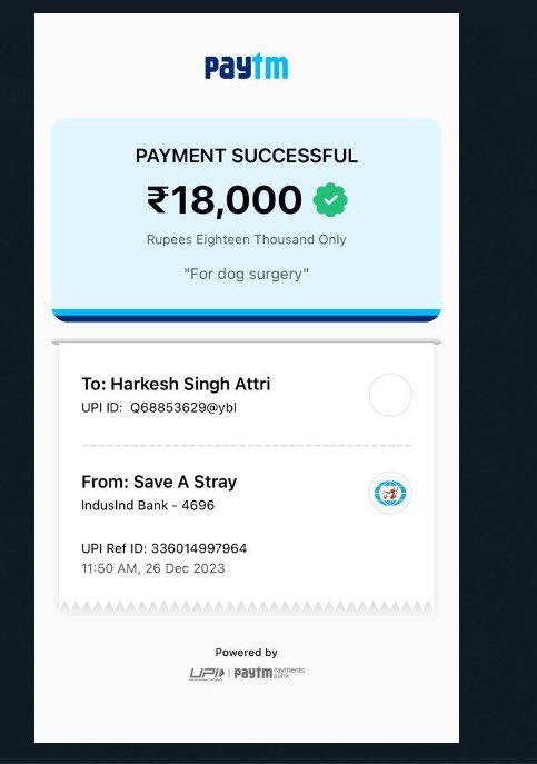 TheViditsharma's tweet photo. Surgery Update: The female dog who underwent surgery is in good shape; the vet examined her today. Necessary treatment is ongoing. Your prayers mean a lot. Grateful to clear the surgery bill with your love and support. Post-surgery care costs around 9000 Rs; any contribution is appreciated. 🙏💙 #AnimalCare #SurgeryRecovery #CommunitySupport 

https://t.co/CkTtllt5z6