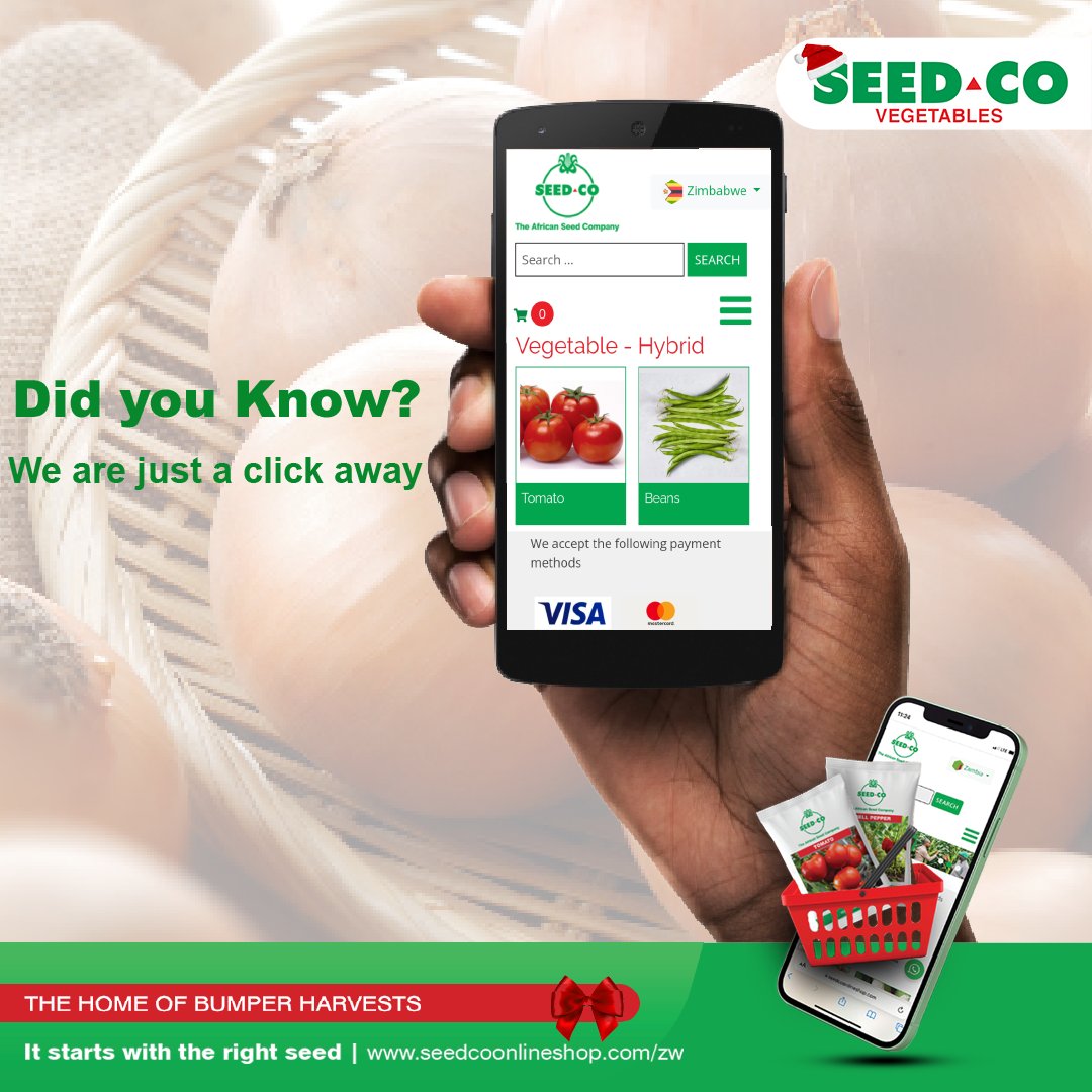 Seed Co Vegetables Zim tweet media