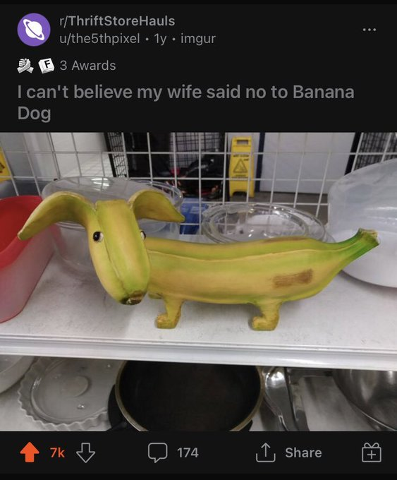 nanadogsol's tweet photo. I hate my wife 🍌

$nana https://t.co/CCxSrJA9bR