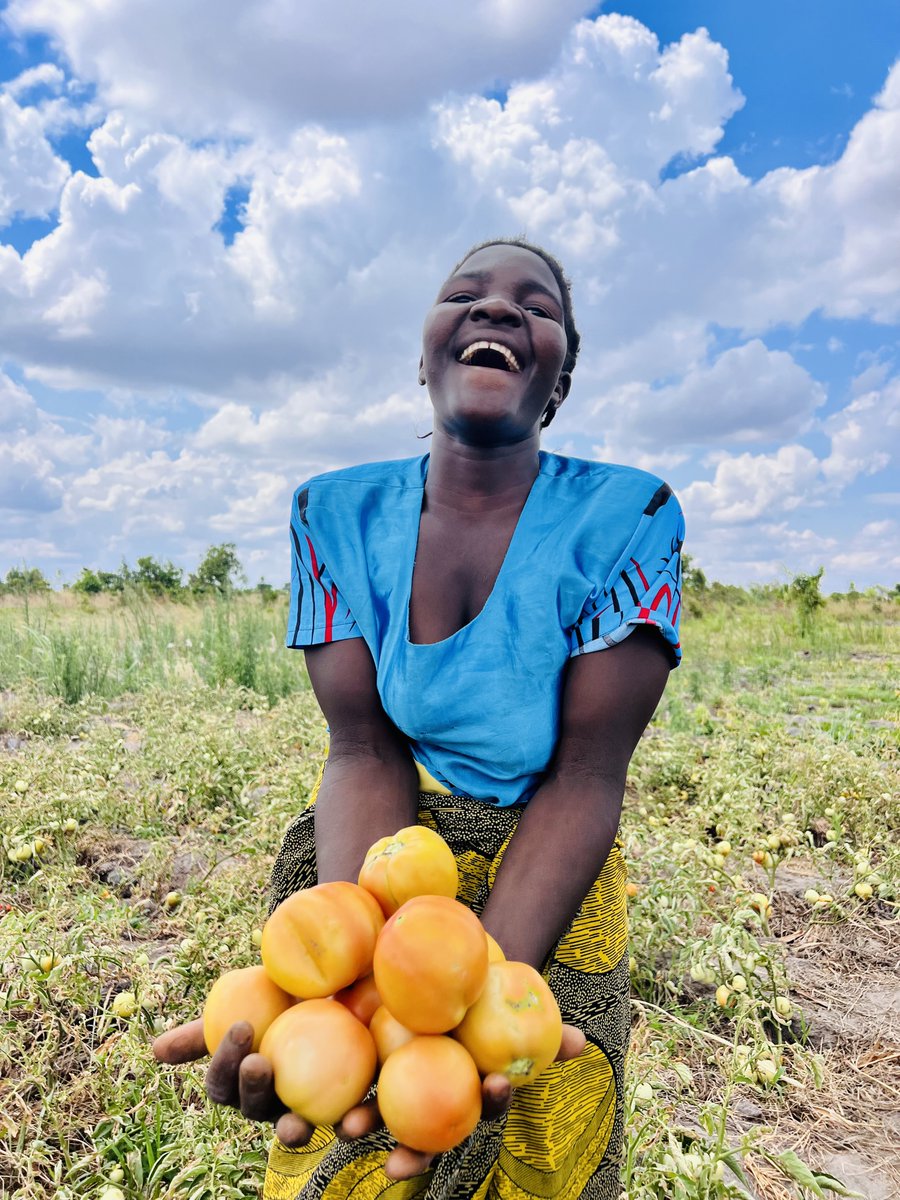Can we achieve #SDG2 without breaching the 1.5C threshold? A big yes!! Our friends from @FAO have released a 'A Global Roadmap' to accelerate climate action, transform agrifood systems and help achieve #GoodFood4All both today and tomorrow. Read here👉bit.ly/3TpBNFz