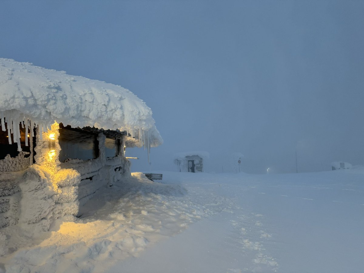 Jordan Batts tweet media