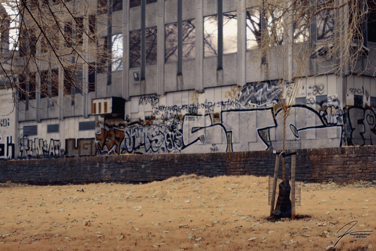 JayKthnx's tweet photo. "Marked"
Full Spectrum Sony A6600, SEL55F18Z, 1/640 at 2.2, ISO 100, 590nm Filter
#streetphotography #infraredphotography #architecture #trees #graffiti #urbanart #Travel #Autumn #gold #sonyalpha #a6600 #Bristol #picoftheday https://t.co/5Mtj33PBEw