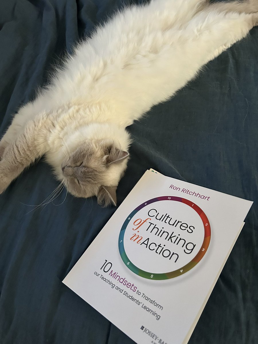 Dr Stephanie Smith tweet media