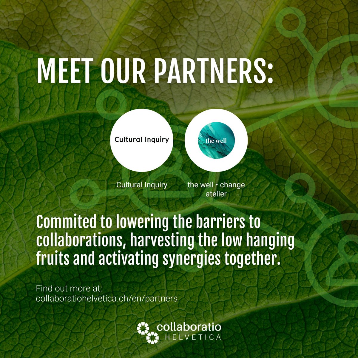 🌐 Our #network is growing! We're excited to end the year with two new #partners; Cultural Inquiry and The Well • Change Atelier.

🔗 More about our network and how to become a partner: collaboratiohelvetica.ch/en/partners

#collaboration #switzerland #sustainability #regeneration #sdgs