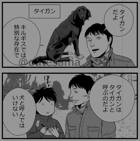 タイガン。
実際わたしが聞いている限り、他にも猟犬がいる中でタイガンはタイガンと呼ばれていました。
普段はとても穏やかですが、実は遊牧民がオオカミに対抗するための存在でもあるけれど、今は数を減らしてしまっていて、減った理由のひとつに狂犬病も上がっています。