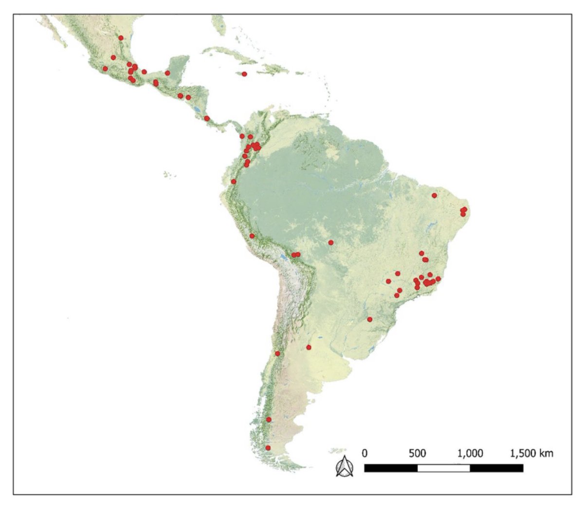 LEAntropoceno's tweet photo. Nuestra investigadora Paula Meli, es coautora en una nueva publicación en la revista Global Change Biology, sobre los beneficios para la biodiversidad y las funciones ecosistémicas de los sistemas agroforestales en las montañas de América Latina 🙌🏻👩🏻‍💻🏔️🌱

https://t.co/W3SQs2gFql https://t.co/mk8lraR19C
