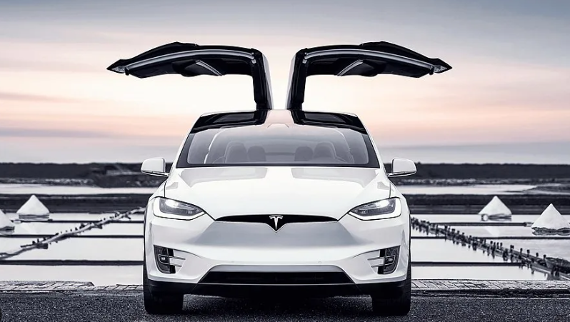 Sister Mu Mu once again increases her holdings in #Tesla, and the stock price is about to take off!#NVIDIA  #AI #Amazon