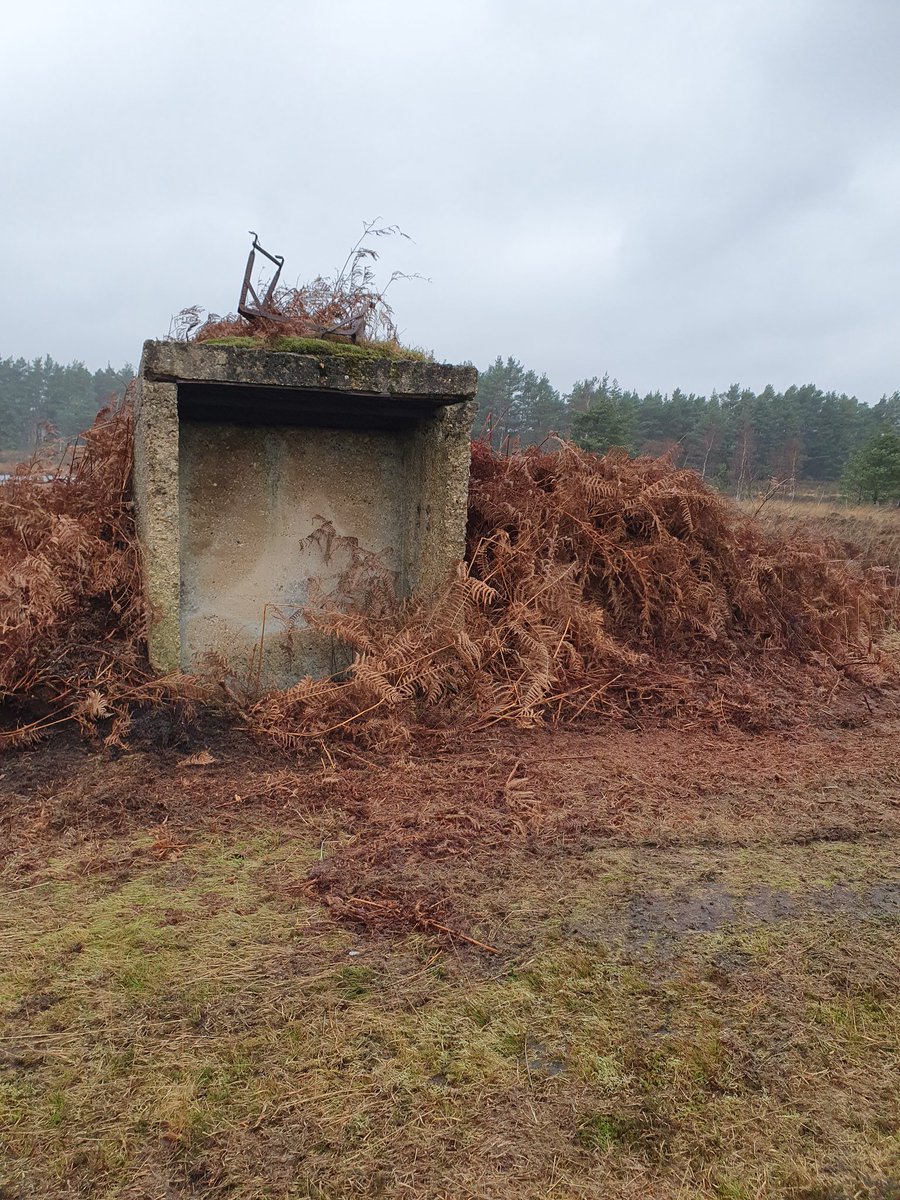 ZhepzyMudRunner's tweet image. Another stunning trip out, slowly because of recovery. The &apos;out of bounds&apos; exploration wasn&apos;t exciting, beauty beyond words, they even tested the &quot;all clear&quot; siren, chilling and grounding ❤️ #WoolmerForest #TWC #TwittaWinterChallenge #SonicWonterSprinters