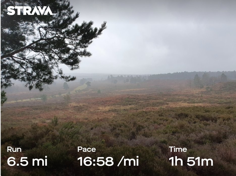 ZhepzyMudRunner's tweet image. Another stunning trip out, slowly because of recovery. The &apos;out of bounds&apos; exploration wasn&apos;t exciting, beauty beyond words, they even tested the &quot;all clear&quot; siren, chilling and grounding ❤️ #WoolmerForest #TWC #TwittaWinterChallenge #SonicWonterSprinters