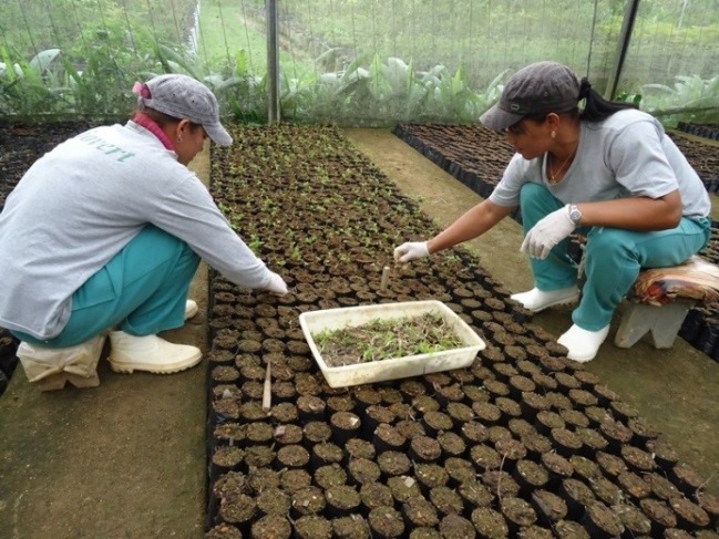 correiopopular_'s tweet image. Ifro abre seleção para professores bolsistas
correiopopular.news/vernot.php?id=…
#ifro #selecao #viveiricultura #bolsa #rondonia #oportunidade #professores