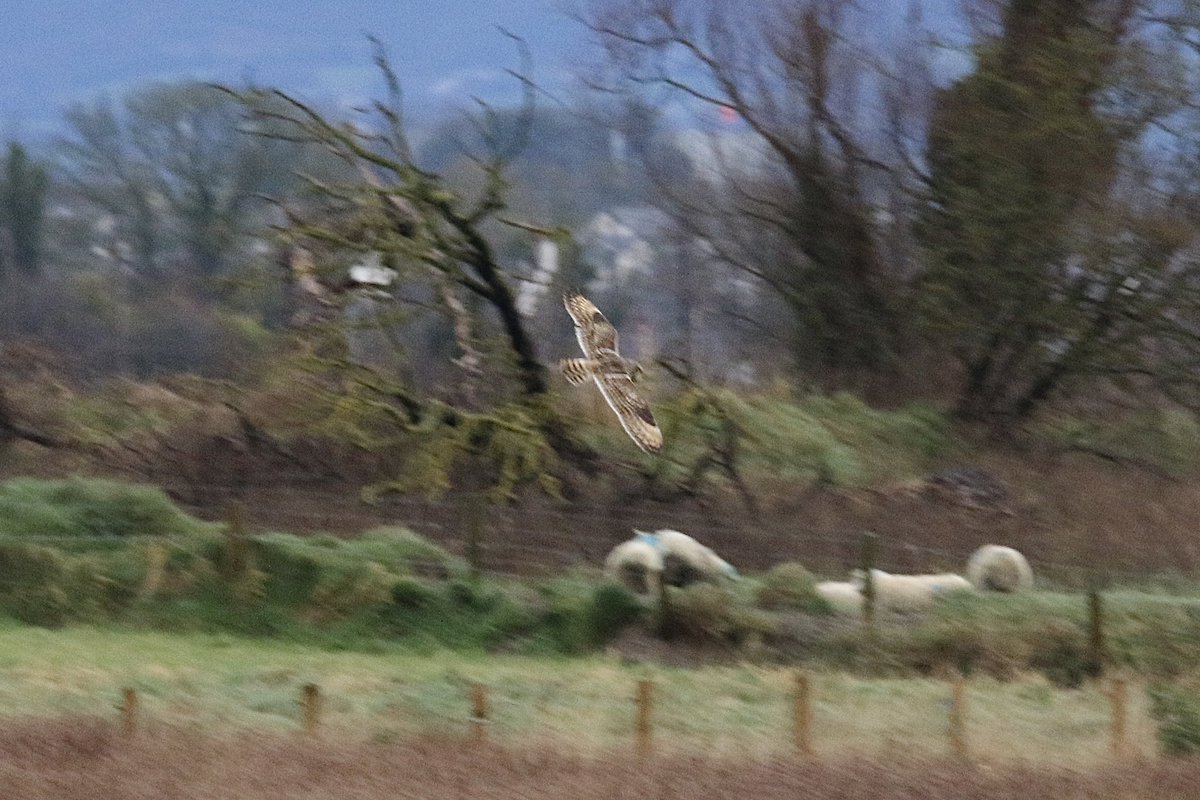 John McNally tweet media