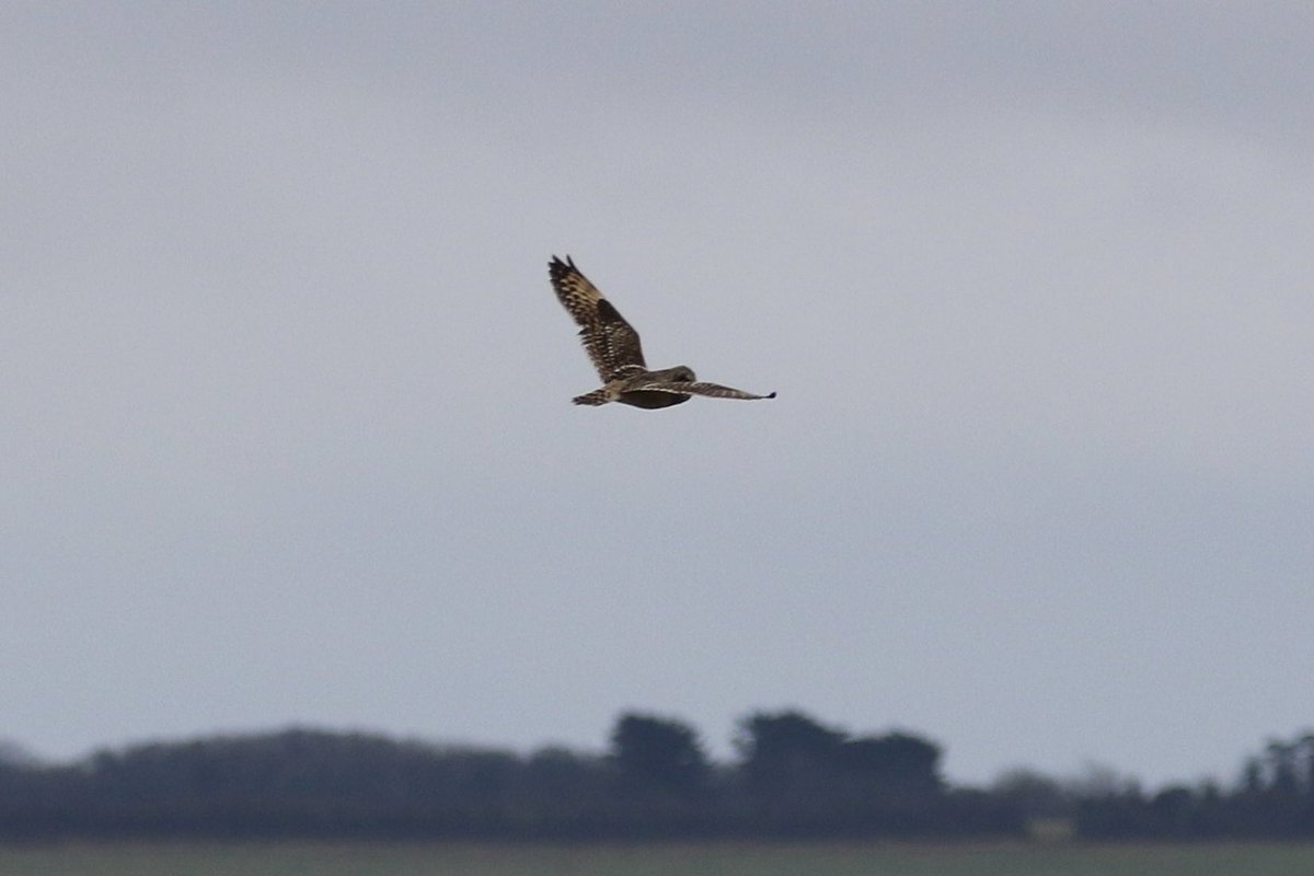 John McNally tweet media