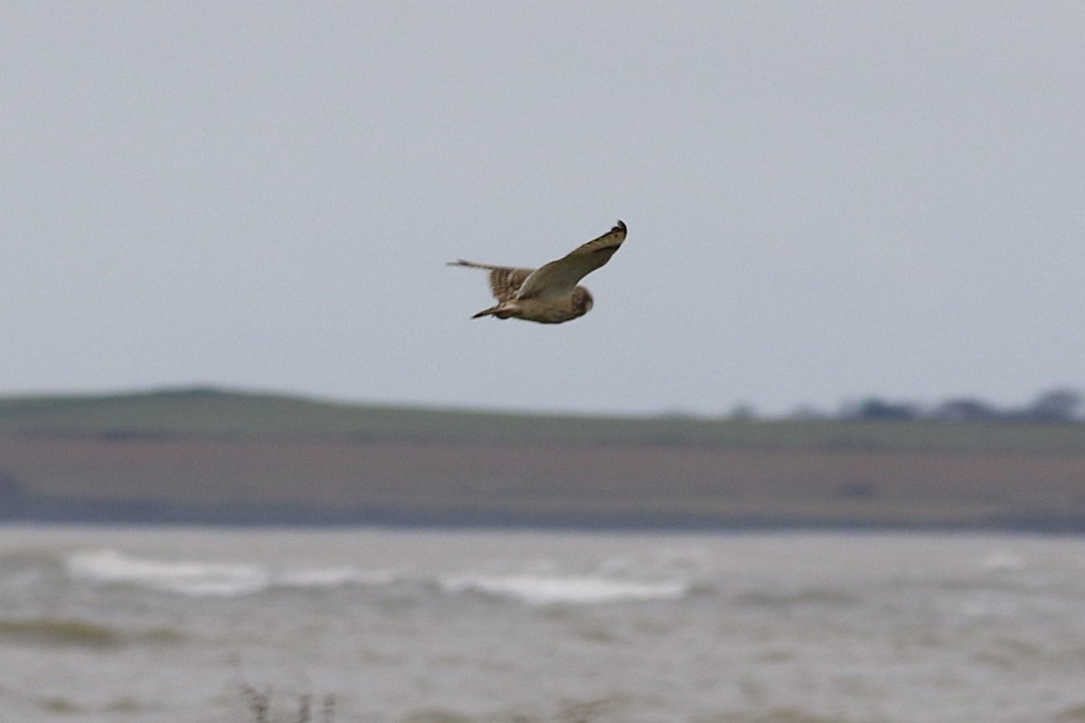 John McNally tweet media