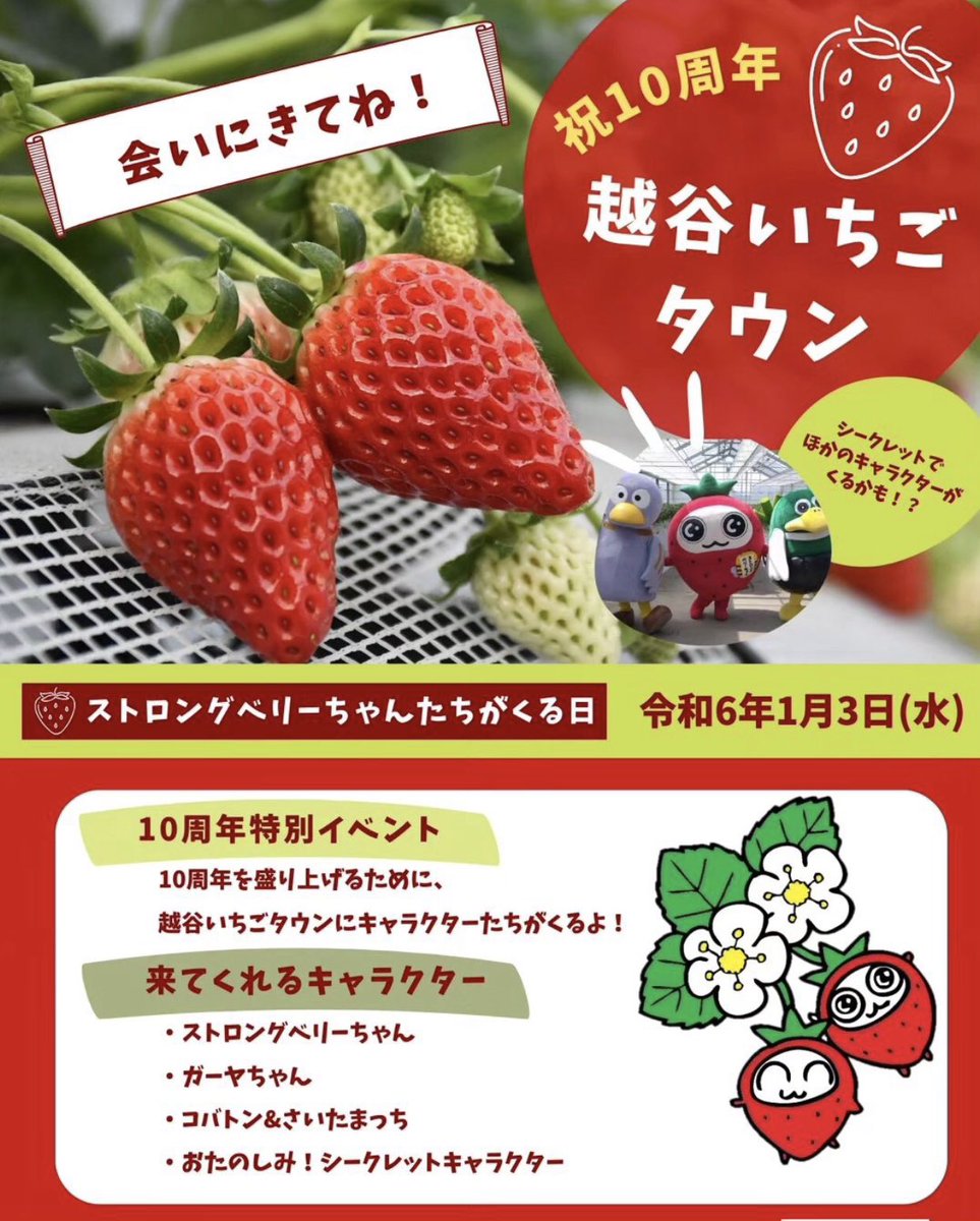 祝10周年 越谷いちごタウン🍓/ 2024年1月3日で10周年になりますニャン