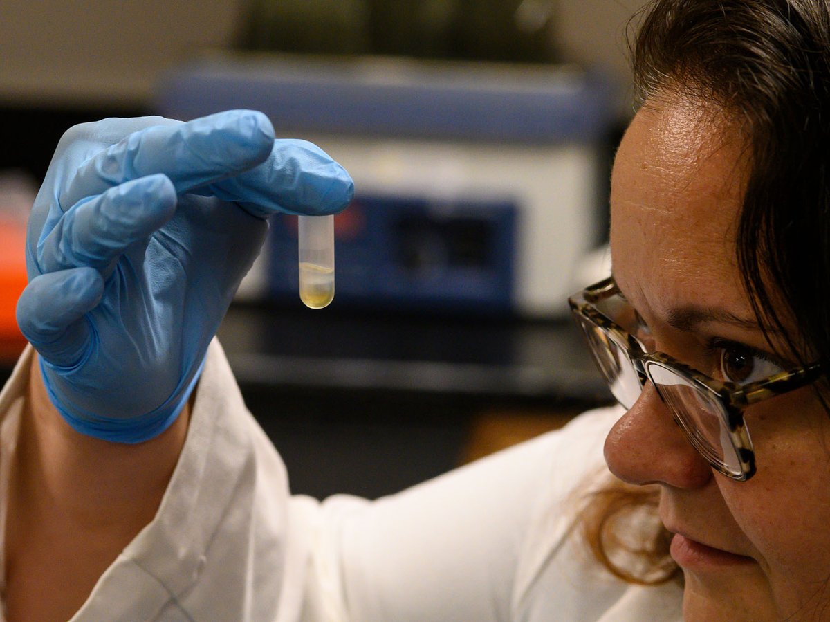 Florida Museum tweet media