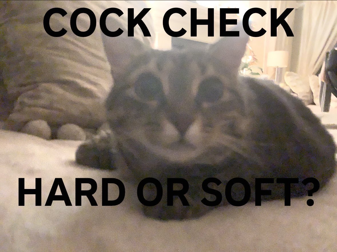 Hyro 🎋 (@hyrelio) on Twitter photo 