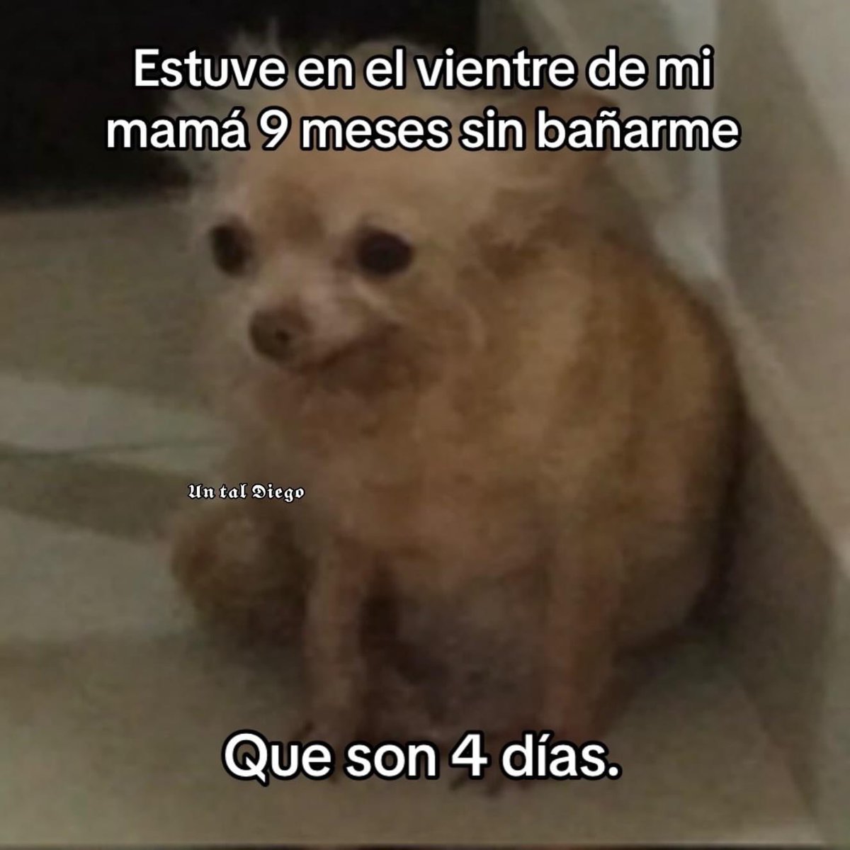Guarromantico_'s tweet photo. https://t.co/ohYcA5JFoV