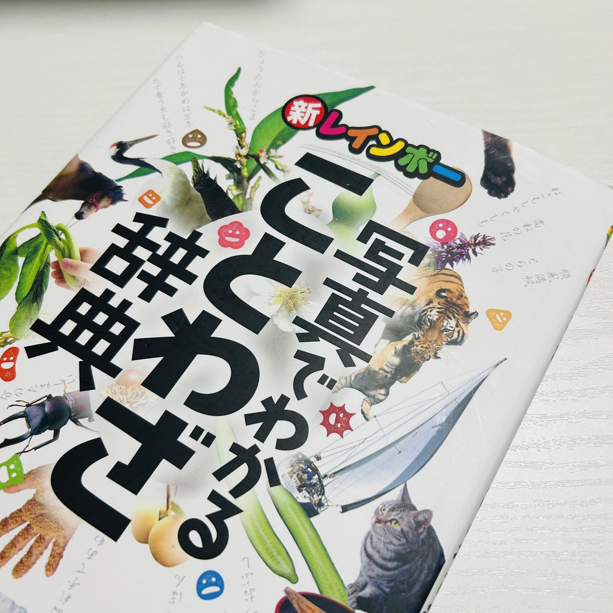akno1380's tweet photo. 売れた本からアウトプット62📖

意外にもこんな児童書がプレ値本🤔

写真の諺のような人になりたい。

おとといポストした能力みたいに、
何を以て”実っている”と捉えるかは人それぞれ🤔

“売上・利益が実っている”のはちょっと違うかな https://t.co/glkflo6Ke4