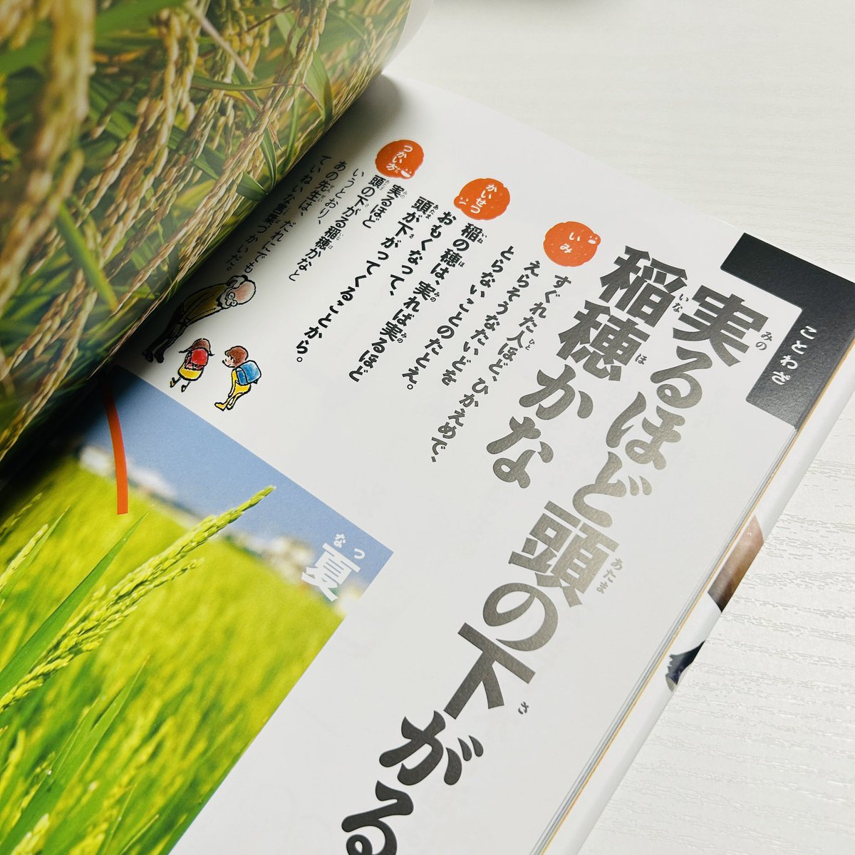 akno1380's tweet photo. 売れた本からアウトプット62📖

意外にもこんな児童書がプレ値本🤔

写真の諺のような人になりたい。

おとといポストした能力みたいに、
何を以て”実っている”と捉えるかは人それぞれ🤔

“売上・利益が実っている”のはちょっと違うかな https://t.co/glkflo6Ke4