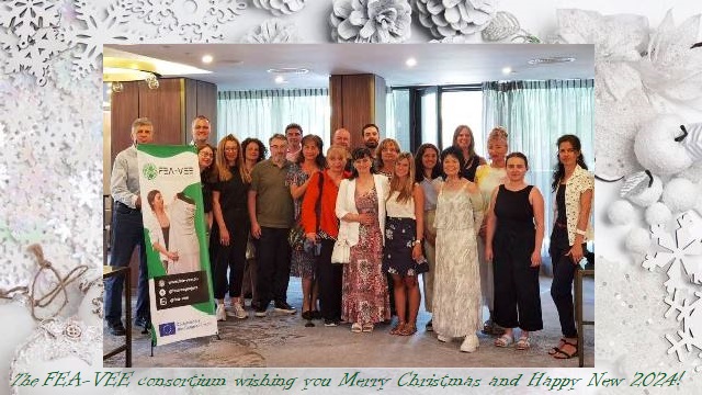 The FEA-VEE consortium wishing you Merry Christmas and Happy New 2024 ! fea-vee.eu