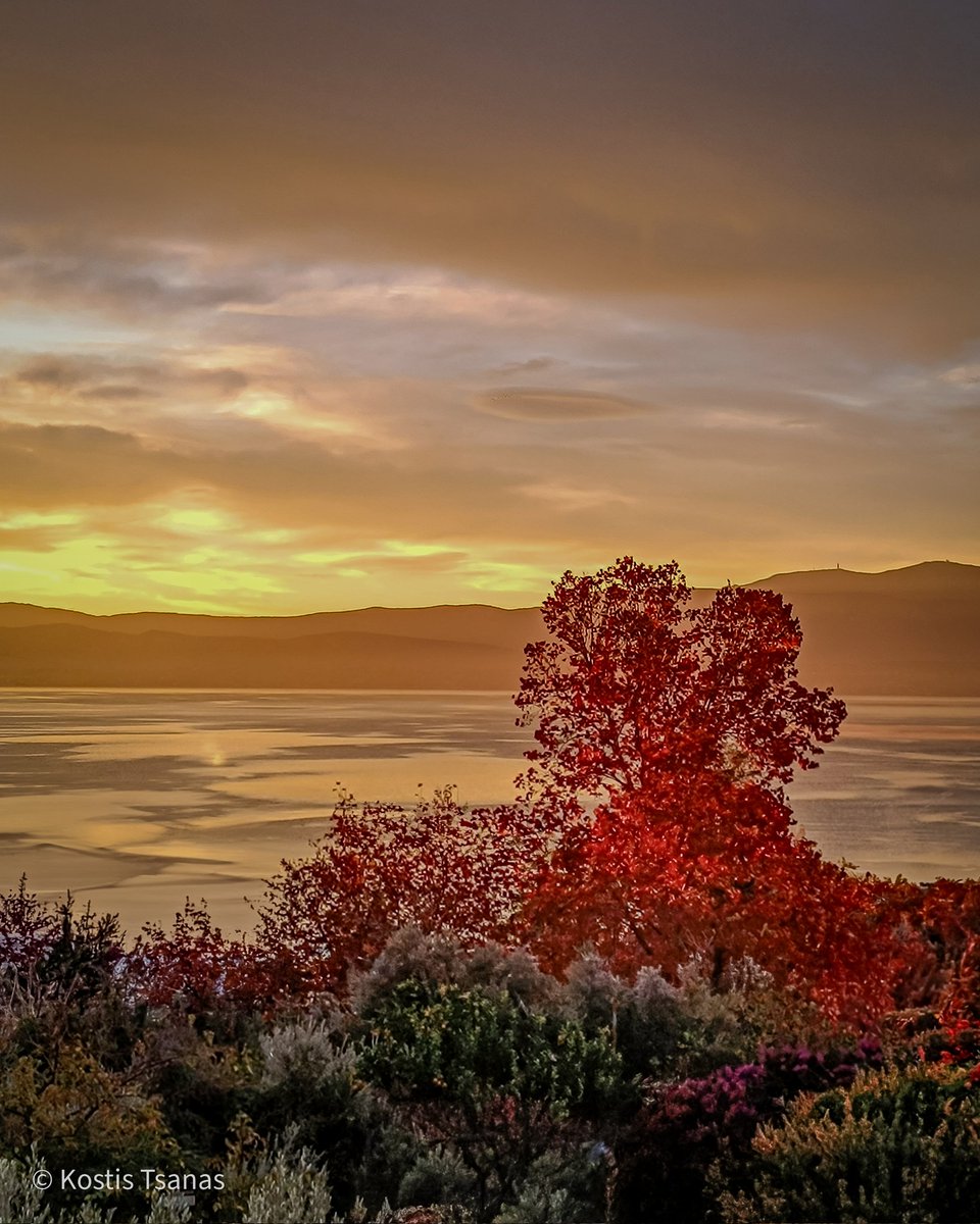kostistsanas's tweet photo. December's morning, Greece #greece #winter #winterholidays #HappyNewYear #HappyNewYear2024 #NaturePhotography #nature #NatureBeauty #home https://t.co/8WhwPhjtwX