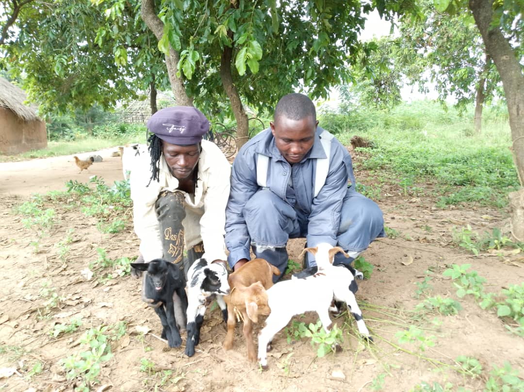 2/2: we aim to boost livestock production, elevate local goat breeds through crossbreeding, and ultimately enhance household incomes for our PAHs and their communities. 🐐🌱 #AgricSSP #TilengaOilProject #LivestockDevelopment #CommunityEmpowerment