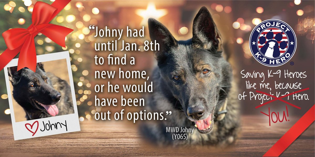 We want to personally thank everyone who supported Project K-9 Hero this year! There is still time to make your 2023 year end Tax-Deductible donation! To help us continue to save the lives of Heroes like Johny, you may contribute at: projectk9hero.networkforgood.com/projects/21223…