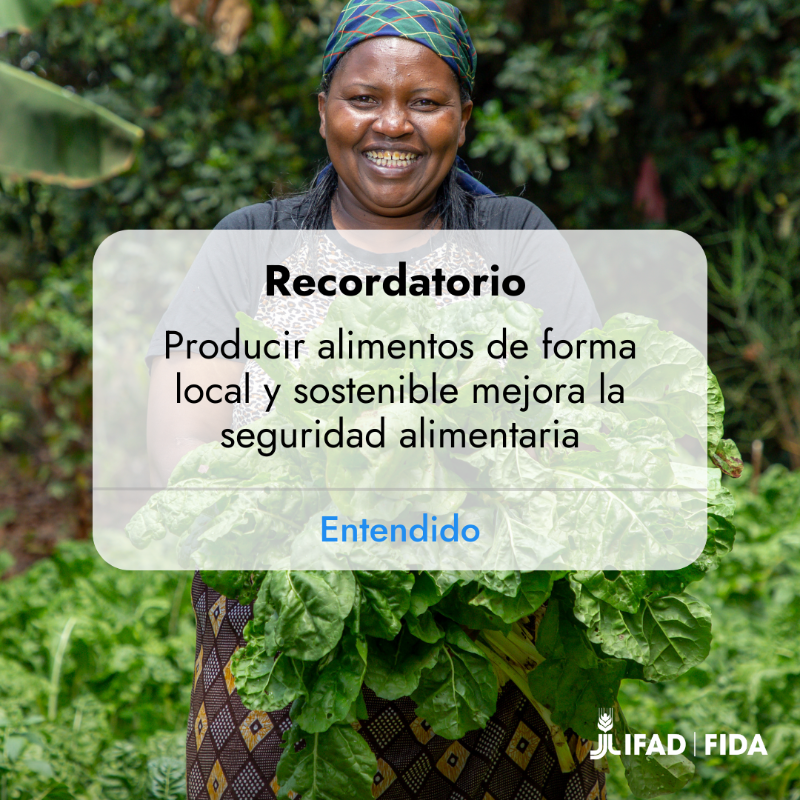 IFADespanol's tweet photo. Los pequeños agricultores producen 1/3 de los alimentos del mundo 🍎🌏

Para pensar en grande cuando se trata de construir #SistemasAlimentarios sostenibles, saludables y equitativos, ¡tenemos que pensar en los más débiles! https://t.co/EWvC3aBTP1