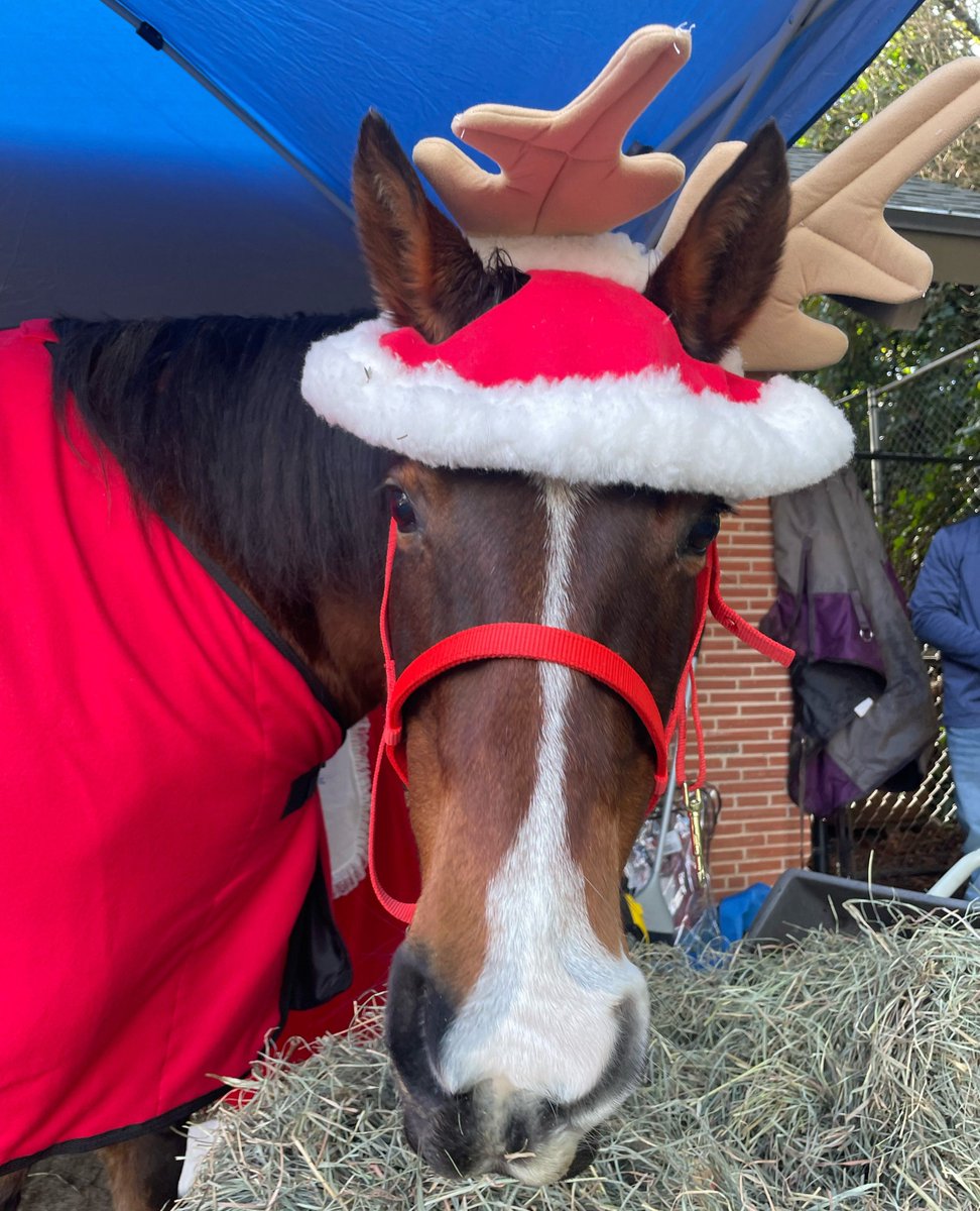 Every Child PDX tweet media