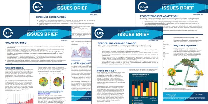 What role does blue carbon play in tackling #climate change? How is #biodiversity loss linked to land degradation in drylands? Get breakdowns of complex environmental challenges in our Issues Briefs bit.ly/3paMDiC