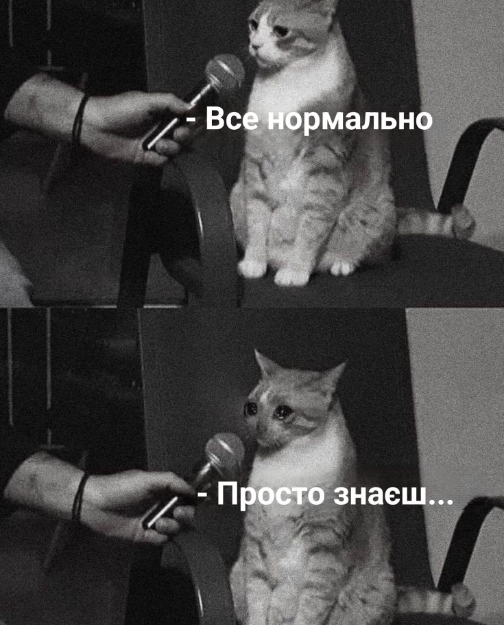 sandWitch23_9's tweet photo. Підсумки року одним мемом https://t.co/CmU2PaBnzE