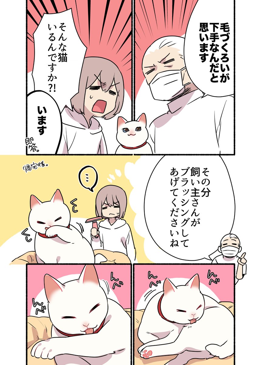 飼い猫が……ハゲてしまった‼️‼️‼️話🧑‍🦲🧑‍🦲🧑‍🦲😭😭😭 (2/2) #漫画が読めるハッシュタグ #愛されたがりの白猫ミコさん コミックス発売中です👇 