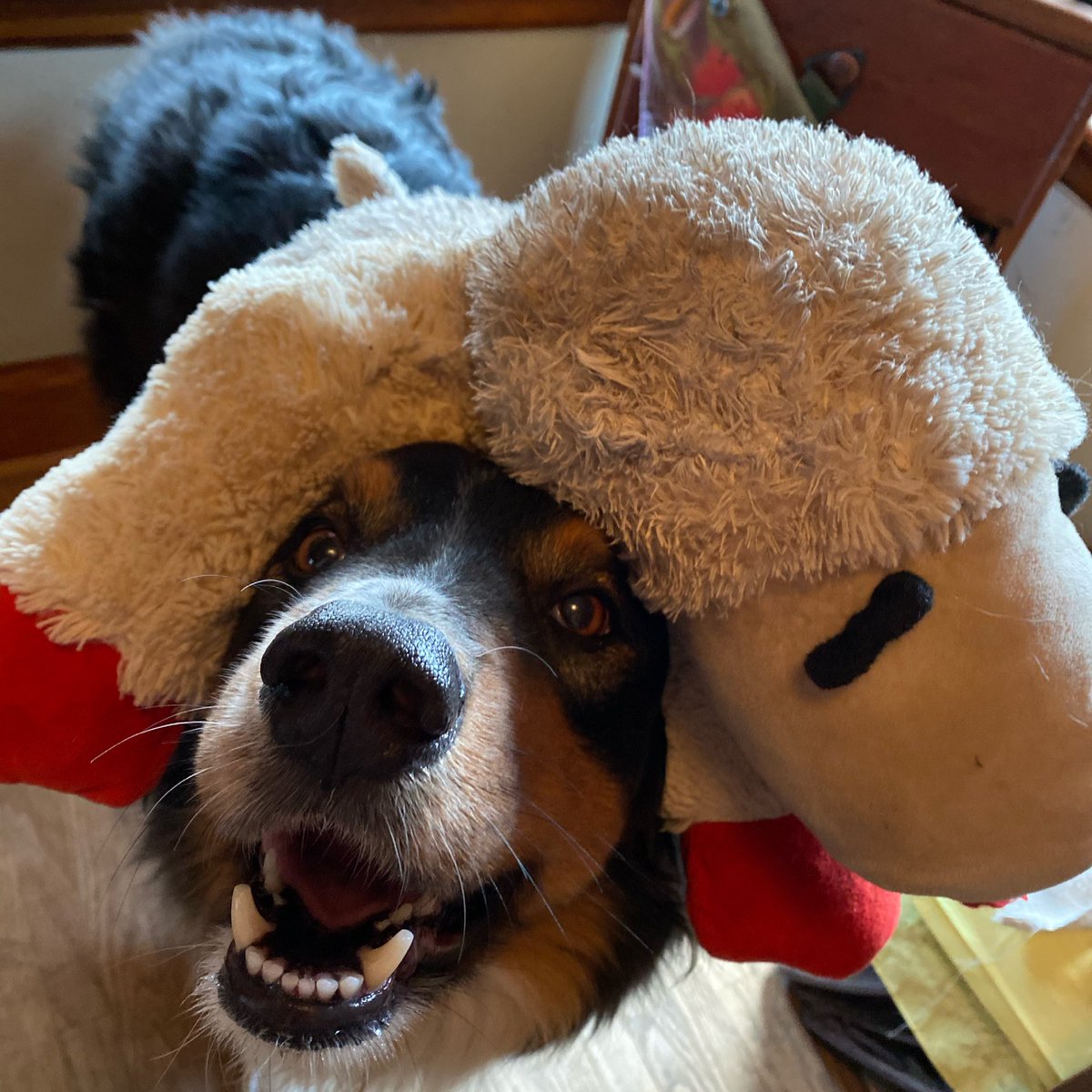 David Hiller tweet media