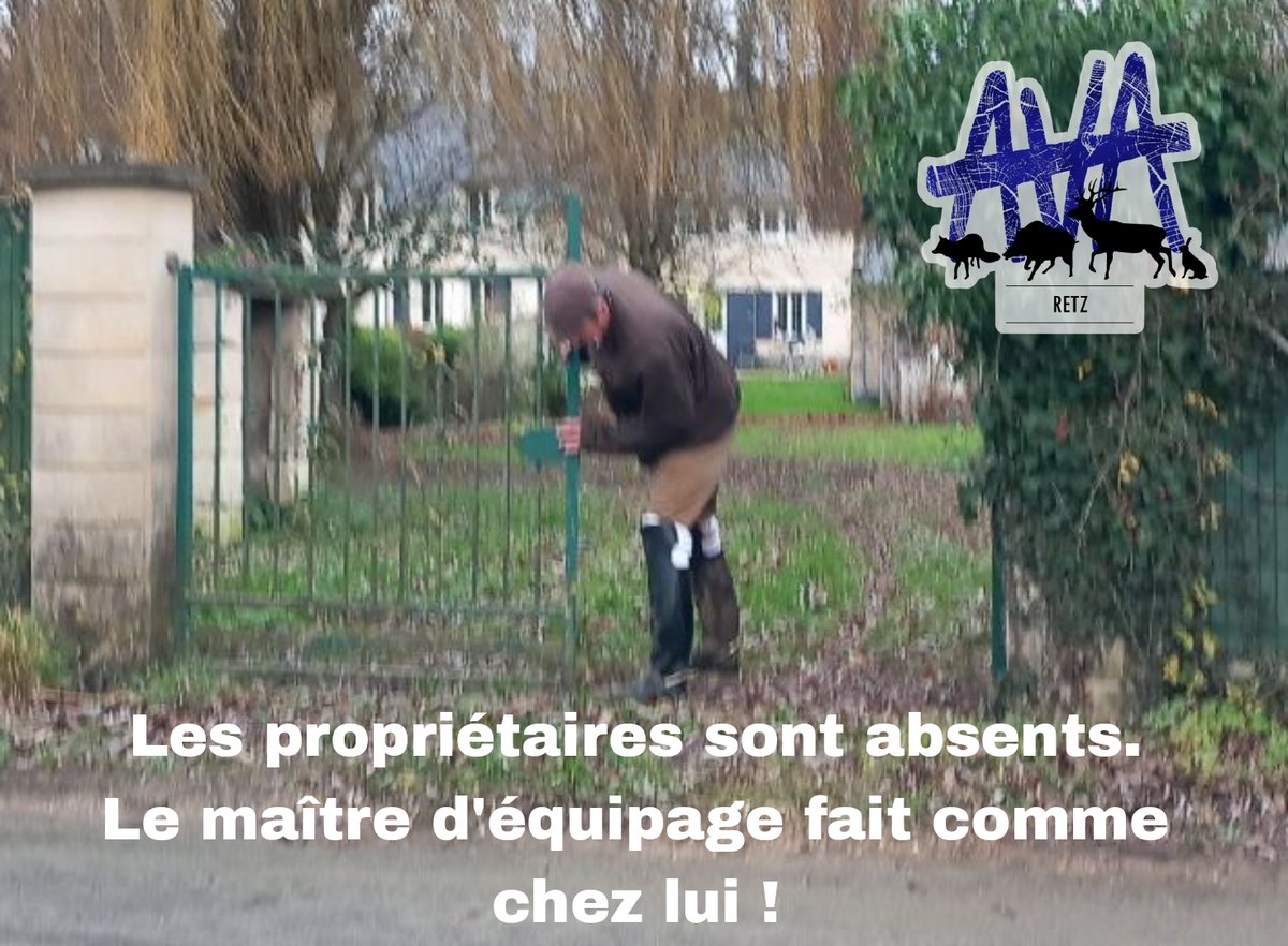 1/7 
Pour la 3ème fois en 1 mois, Ingrannes (Loiret), le 25/11, Le Plessis-Brion (Oise) le 17/12 c'est à  Hautefontaine (Oise) ce Samedi 23 Décembre qu'un cerf poussé par l'équipage de chasse à courre de la forêt de Retz se retrouve dans un jardin en l'absence des propriétaires.
