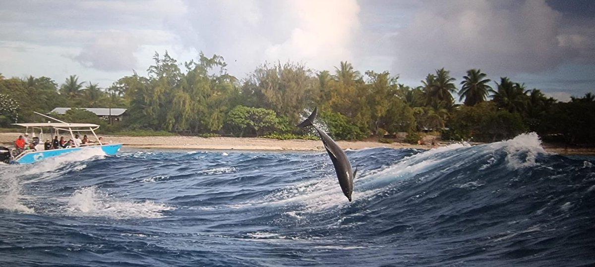 Ca faisait longtemps qu’on avait pas posté sur X.
On est fier de l’année 2023 tous ensemble. 🥰
Très bonnes fêtes de fin d’année à vous. 🎁🎄

On revient en 2024 avec pleins de nouveautés, ainsi que des photos de nos groupes.