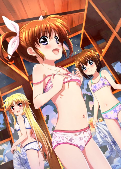 C103表紙タイトル無し版

#C103 #nanoha #なのは 