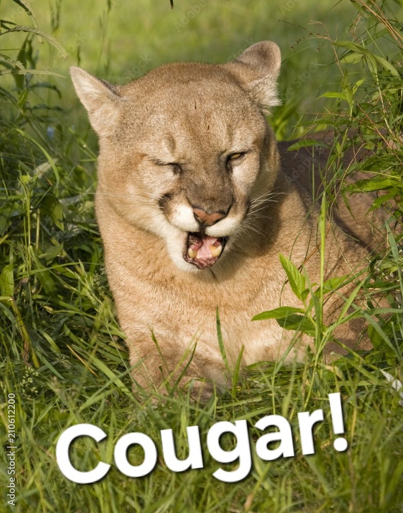 scrvydarg tweet media