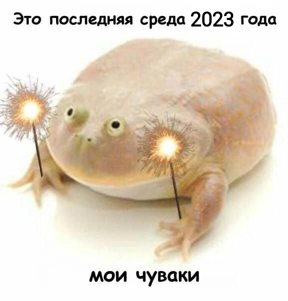 Доброго времени суток!
С вами Радио-Саня ✨
Вот и последняя среда в этом году. А значит и последняя лягушка. Ну, вы знаете, что я хочу сказать: пусть именно она принесёт вам удачи. Но уже не только на этот день, но и на весь последующий год
Хорошего дня!!